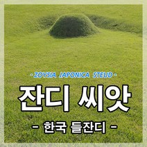 한국잔디씨앗30g(2m2용) 정원 산소 공원 골프장용