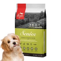 오리젠 반려견 시니어 독 건식사료, 혼합맛, 11.4kg, 1개