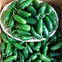 [국산] 국내산 할라피뇨고추 1kg 할라피뇨 고추장아찌 아삭이 엄지 고추 할라피뇨생고추 퍼펙트아삭이 퍼펙트고추, 1개