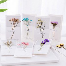 말린꽃카드/드라이플라워 카드/프리저브드플라워 카드*, 주황꽃