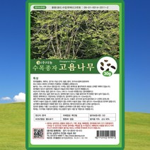 고욤나무 씨앗 고욤나무 씨 종자 30g, 단품