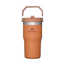 Stanley 스탠리 스테인리스 스틸 물병빨대 가정 사무실용 진공 단열 물병, 20온스, 황토