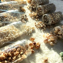 한소픈 여름 장식 소품 자연 미니 조개 소라 껍질 모음 / 여름 바다 디스플레이 인테리어 테마소품 / 어항꾸미기/ 어항조개, 10번