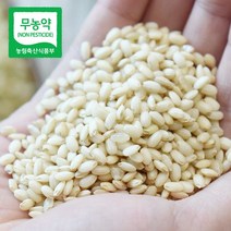 [산지직송] 지리산 청정골 무농약 메뚜기쌀, 무농약쌀(찰현미)10kg