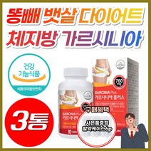 NWC 체지방 가르시니아 HCA 750 여름철 단기 간 다이어트 복부 허벅지 체지방 내장지방 감소 급찐 급빠 효과좋은 가성비 가루시니아 남성 여성 뱃살 줄이는 빼는 빼기 약 X, 3개, [특가] 가르시니아플러스 (2개월분)