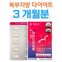 체지방 감소 체중 유지 복부 지방 다이어트 홈트 HCA 홈트레이닝 운동 가르시니아 캄보지아 팔뚝살 뱃살 허벅지살 빼는법 30대 40대 중년 여성 엄마 주부 결혼 준비 다이어트