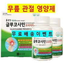 종근당 글루코사민 무릎관절 연골 어깨통증에 좋은 영양제 2개월분