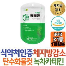 체지방 다이어트보조제 식후 카테킨 녹차추출물 항산화 체지방감소 도움 윗배 아랫배 뱃살 팔뚝살 뱃살빼기 추천 20대 30대 남자 여자 예비신부 여름 휴가 방법 예신 주부 가르니시아
