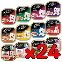 시둥마켓 +[시둥마켓]+_ 애견용먹이 반려견용먹이 반려견사료 애견사료 캔사료 애완견용먹이, 시저캔 100g, 쇠고기, 상세설명참조