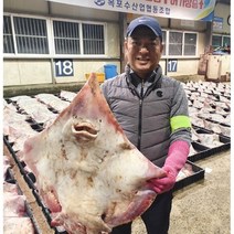 [산지직송] 목포 국산 흑산도 홍어 산지직송 애증정 혼술용 1kg 500g 250g, 흑산도홍어 250g, 중간숙성, 1개