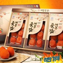 [과일愛]영암 대봉 곶감 반건시 1호 (90g 내외- 24과) - 보자기포장