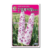 제일 알록이찰옥수수 씨앗 80립