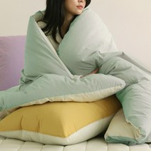 초고밀도 면100수 + 마이크로화이바 호텔식 차렵이불 세트