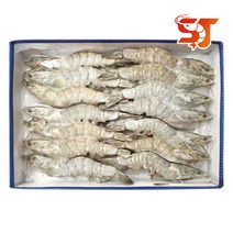 세종푸드시스템 흰다리새우 500g (냉동대하), 20마리