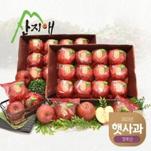 기타 [2023햇사과] 산지애 씻어나온 꿀사과 3kg 2box (중과)