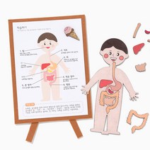 소화기관 인체 지도 만들기 초등 학교 수업 재료 교구 무료스티커 증정, (인체지도)