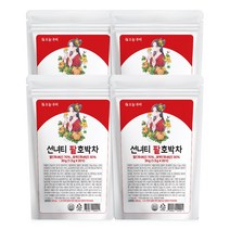 오늘부터 선녀티 팥호박차, 1.5g, 20개입, 4개