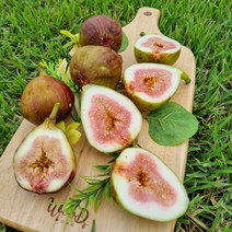 산지직송 영암 무화과 홍무화과 청무화과 1kg 2kg, 1-1) 홍무화과1kg, 1개