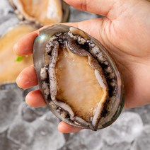 완도 산지직송 활 전복 선물세트 선물용 특대 500g 1kg, 12번 부직포 보자기