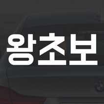 어른킹 빅사이즈 왕초보 A타입 포인트 컬러 데칼 스티커 자동차 드레스업 익스테리어 방수 시트지, A타입- 경차/RV(75x27cm) -홀로그램