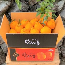제주 한라봉 5kg 소과 산지직송 선물세트한라봉 제주한라봉 제주농장 3kg 5kg 제철 제주감귤 설선물 새해선물 선물세트 과일선물세트 산지직송, 본상품