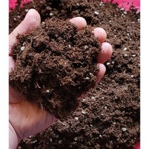 썬킴 배양토 10L 분갈이 화분흙 상토 23년 배양토 전문가, 배양토(꽃상토) 10 * 1개