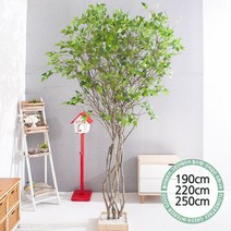 실내인테리어 인조나무 123종 / 플트 조화나무 C, C07.라인-자작나무 190cmK/사방형