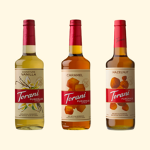 토라니 커피 시럽 시그니쳐 바닐라 카라멜 헤이즐넛, [3]헤이즐넛750ml