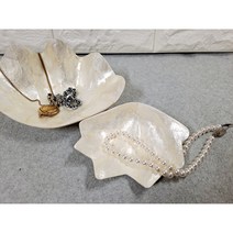 [소품팩토리]조개모양 화이트 쉘 자개그릇 트레이 쥬얼리트레이 발리감성 촬영소품, 조개모양 트레이S