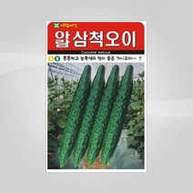 슬로시 슬로시 열매 씨앗 고추 토마토 콩 씨 종자, 삼척오이50립(아람)