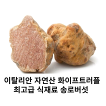 이탈리아 자연산 화이트 생트러플 10g~50g 프리미엄 송로버섯 최고급 식재료 세계3대진미 생물 트러플 희귀한, 30g