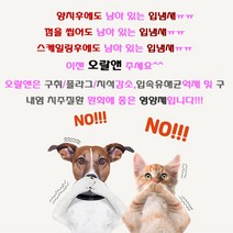 오랄앤36g 강아지 고양이 구내염 치주염 완화 입냄새 제거 면역증진 신개념 오랄가드(12시 이전 당일 출고), 오랄앤1박스(30개)+오랄앤3p