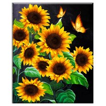 FASEN diy보석십자수 캔버스 형액자 세트 40cm x 50cm, AYW-114