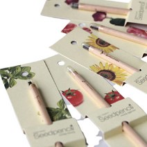 봄꽃화분 싹나는 씨앗연필 행사선물 새싹키우기, 상품선택, 봉선화