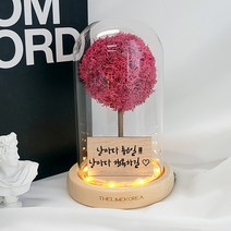 LED 메세지 각인 스칸디아모스 유리돔 무드등 거실 인테리어 조명 선물, 진핑크_폰트1