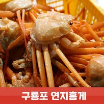 연지홍게 2.5kg 10~12미 찜발송 자숙 산지직송 라면용 육수용 박달형 포항 홍게 가성비, 일반형 (7미), 1개