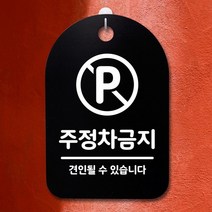 안내판 표지판30B_DSP_192_주정차금지, 블랙