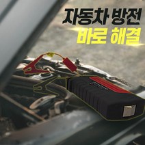 FYC 휴대용 차량용 자동차 점프스타터 점프앤고, 블루, 1개