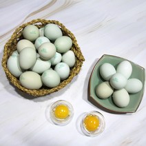 친환경 방사 청계유정란, 20구