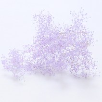 앨리플라워 프리저브드 소량 판매 드라이플라워 디퓨져만들기, 1-10미니안개 엔젤퍼플
