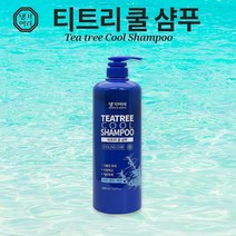 댕기머리 내추럴온 티트리 쿨 샴푸, 1L, 2개