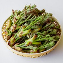 제철나물 국내산 생두릅 참두릅 150g, 단품