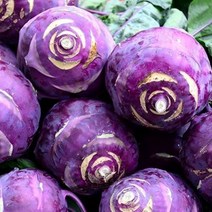 쿡네이처 제주 콜라비 3Kg, 1개