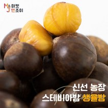 인기 많은 스테비아생율밤 추천순위 TOP100 상품 소개