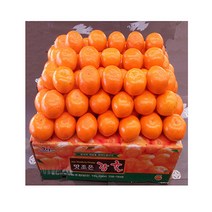 비가림 타이벡 감귤 5kg 고당도밀감 서귀포감귤, S크기