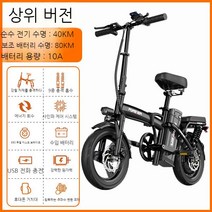 전기 자전거 전동 주행 접이식 출퇴근 배달, 0아, 최고급버전1