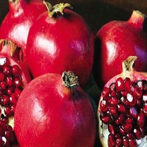 달콤하고 맛있는 미국산 생 석류 2.5kg (5~7과) 특품 여성선물추천