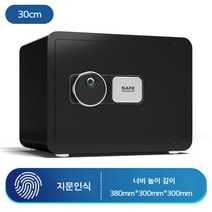 가정용 지문인식 금고 보관함 미니 소형 개인 지폐 비밀 박스, L