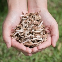 국산 석창포 400g/수험생차 건조 말린 약초 약재 국내산 차 한방 차, 140I_국산석창포 200gX2, 2개