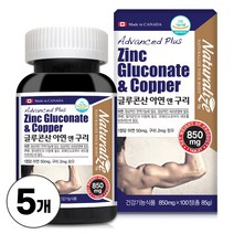 아연 영양제 글루콘산아연 50mg 구리 생강분말 함유 Zinc 식약처인증 건강기능식품, 100정 x 5박스